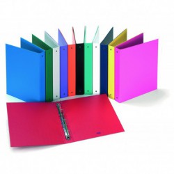 Raccoglitore ad anelli