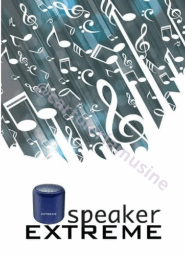 SMART SPEAKER BLUETHOOTH  RF NQEO– CASSA PORTATILE